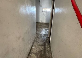 Magazzino Genova - foto 7