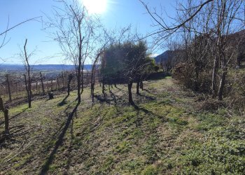 Casa indipendente Via Comba Garitta, 35, Envie - foto 39