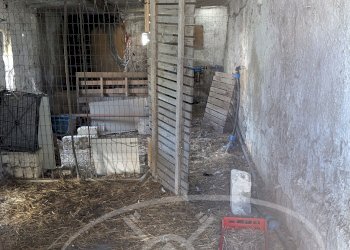 Casa semi indipendente strada comunale 27, frazione Santuario Incoronata, Foggia - foto 53