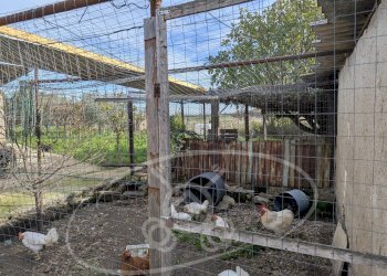 Casa semi indipendente strada comunale 27, frazione Santuario Incoronata, Foggia - foto 54