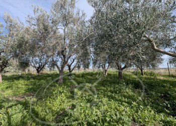 Casa semi indipendente strada comunale 27, frazione Santuario Incoronata, Foggia - foto 55