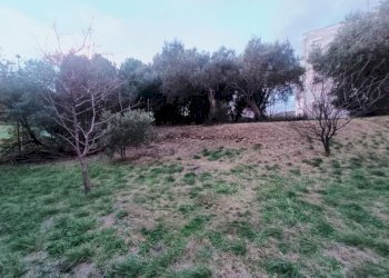 Appartamento Savona (zona Legino) - foto 19