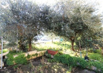 Casa indipendente Via Cervese, Cesena - foto 6