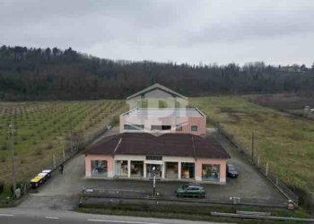 Capannone strada Serravalle, Novi Ligure - foto 26