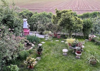 Villa a Schiera Piazza Lombardi, Peschiera Borromeo - foto 6