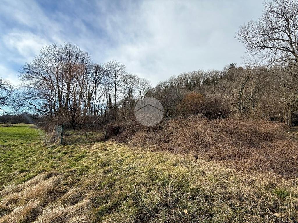 Terreno agricolo via Sant'ambrogio, Villar Dora - foto 1