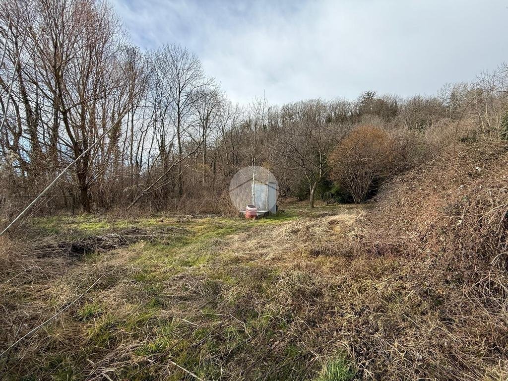 Terreno agricolo via Sant'ambrogio, Villar Dora - foto 2