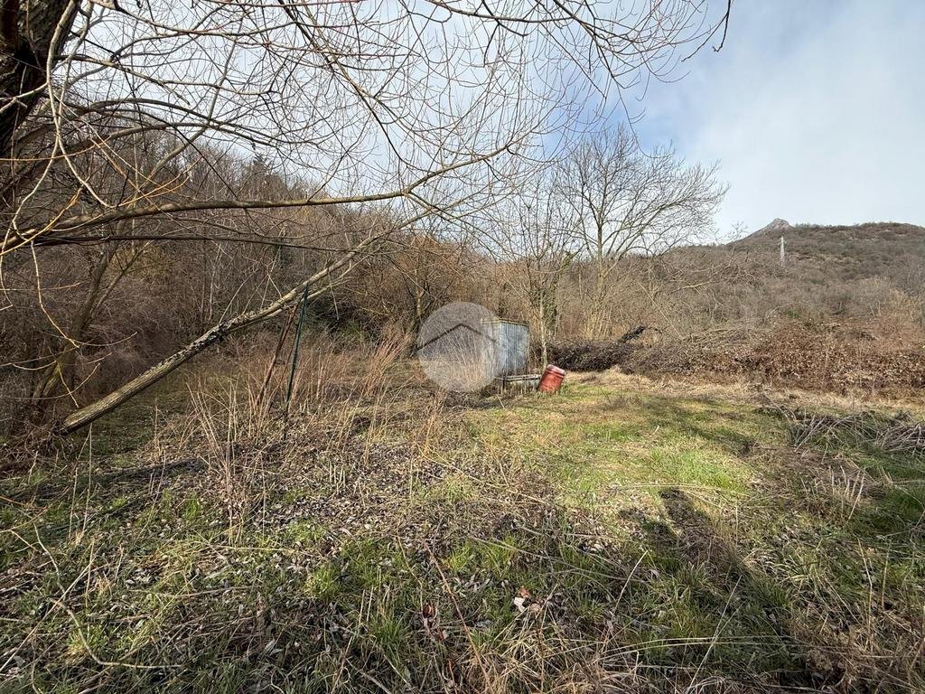 Terreno agricolo via Sant'ambrogio, Villar Dora - foto 3
