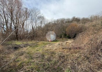 Terreno agricolo via Sant'ambrogio, Villar Dora - foto 2