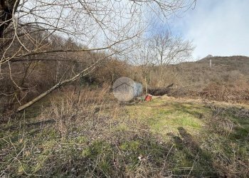 Terreno agricolo via Sant'ambrogio, Villar Dora - foto 3