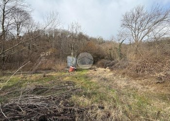 Terreno agricolo via Sant'ambrogio, Villar Dora - foto 5