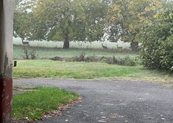 Foto 9 - Appartamento Via San Leonardo, Parma - foto 9