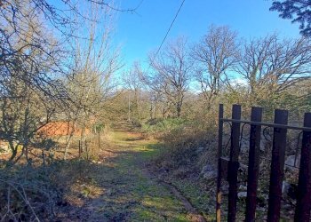 Foto 9 - Casa indipendente Campo Lupino, Castro dei Volsci - foto 9