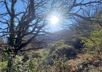 Foto 11 - Casa indipendente Campo Lupino, Castro dei Volsci - foto 11