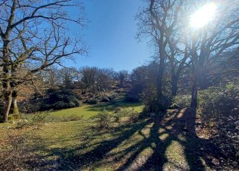 Foto 13 - Casa indipendente Campo Lupino, Castro dei Volsci - foto 13