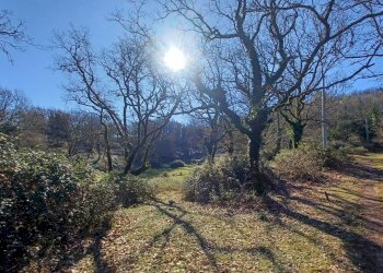 Foto 14 - Casa indipendente Campo Lupino, Castro dei Volsci - foto 14