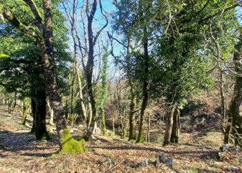 Foto 15 - Casa indipendente Campo Lupino, Castro dei Volsci - foto 15