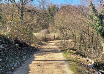 Foto 19 - Casa indipendente Campo Lupino, Castro dei Volsci - foto 19