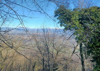 Foto 21 - Casa indipendente Campo Lupino, Castro dei Volsci - foto 21