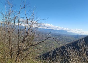 Foto 27 - Casa indipendente Campo Lupino, Castro dei Volsci - foto 27