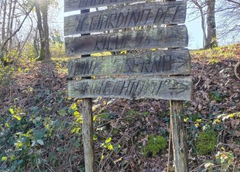 Foto 31 - Casa indipendente Campo Lupino, Castro dei Volsci - foto 31