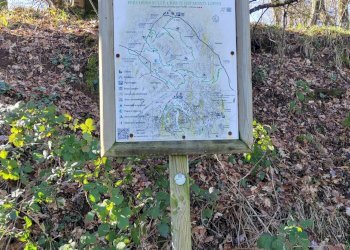 Foto 32 - Casa indipendente Campo Lupino, Castro dei Volsci - foto 32