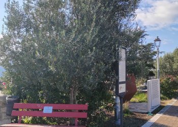 Foto 41 - Casa indipendente Campo Lupino, Castro dei Volsci - foto 41