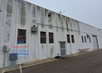 Foto 23 - Capannone VIA STATALE
 
228, Terre del Reno - foto 23