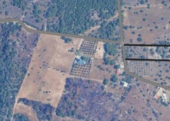 Foto 1 - Agricultural land Località Lamastuola, Crispiano - photo 1