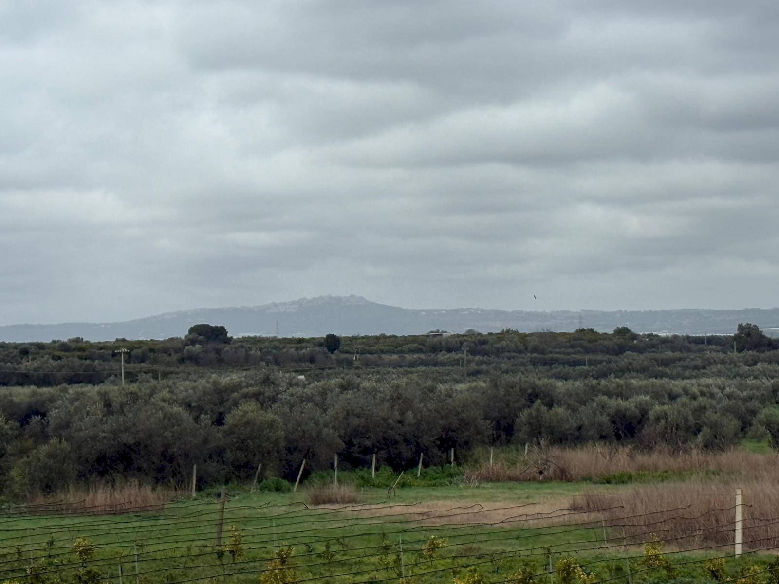 Foto 3 - Terreno agricolo Contrada Palata, Massafra - foto 3