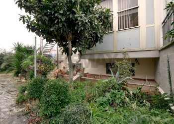 Giardino - Villa Via Giulio Petroni
 
136, Bari - foto 11