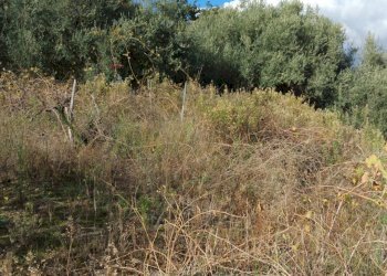 Vista delle montagne - Terreno edificabile contrada urnazzo acquapalo, Calatabiano - foto 9