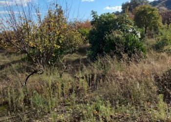 Vista delle montagne - Terreno edificabile contrada urnazzo acquapalo, Calatabiano - foto 18