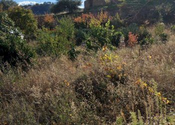 Vista delle montagne - Terreno edificabile contrada urnazzo acquapalo, Calatabiano - foto 20