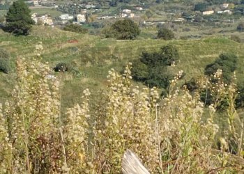 Vista delle montagne - Terreno edificabile contrada urnazzo acquapalo, Calatabiano - foto 23