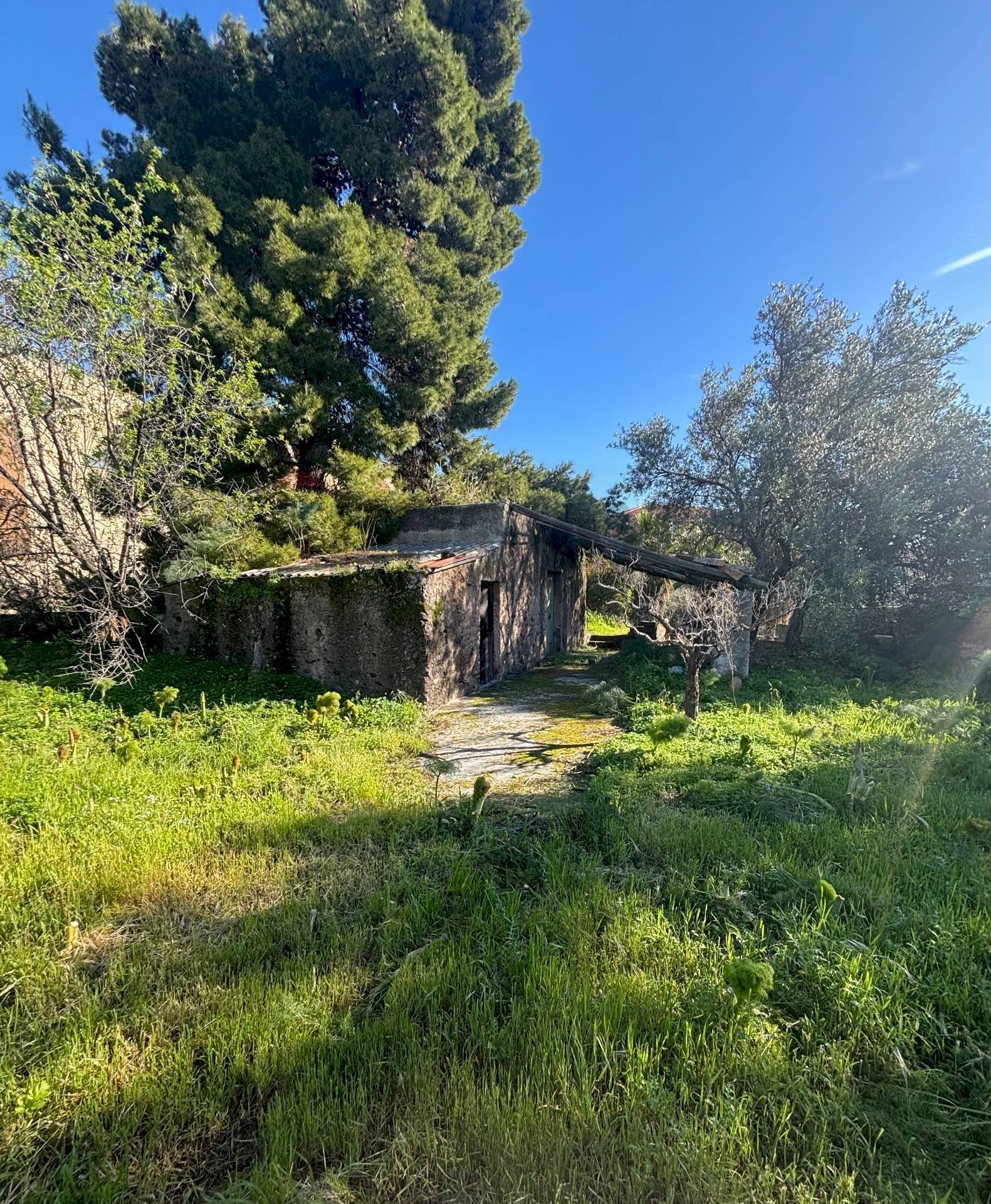 Giardino - Terreno edificabile Via della Viole, Misterbianco - foto 2