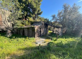 Giardino - Terreno edificabile Via della Viole, Misterbianco - foto 2