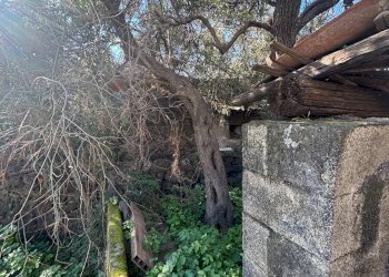 Giardino - Terreno edificabile Via della Viole, Misterbianco - foto 3