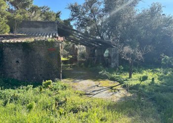 Giardino - Terreno edificabile Via della Viole, Misterbianco - foto 4