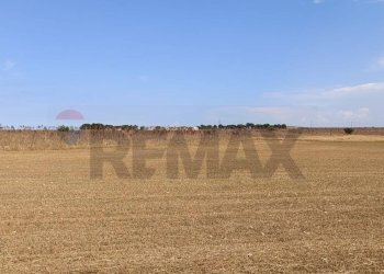 Vista dell\'acqua - Terreno agricolo Contrada Signoritto
 
SNC, San Giovanni Rotondo - foto 3