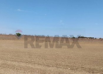 Vista dell\'acqua - Terreno agricolo Contrada Signoritto
 
SNC, San Giovanni Rotondo - foto 5