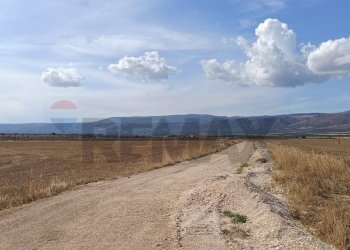 Vista delle montagne - Terreno agricolo Contrada Signoritto
 
SNC, San Giovanni Rotondo - foto 6