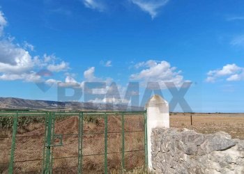 Vista delle montagne - Terreno agricolo Contrada Signoritto
 
SNC, San Giovanni Rotondo - foto 8