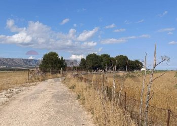 Vista delle montagne - Terreno agricolo Contrada Signoritto
 
SNC, San Giovanni Rotondo - foto 9