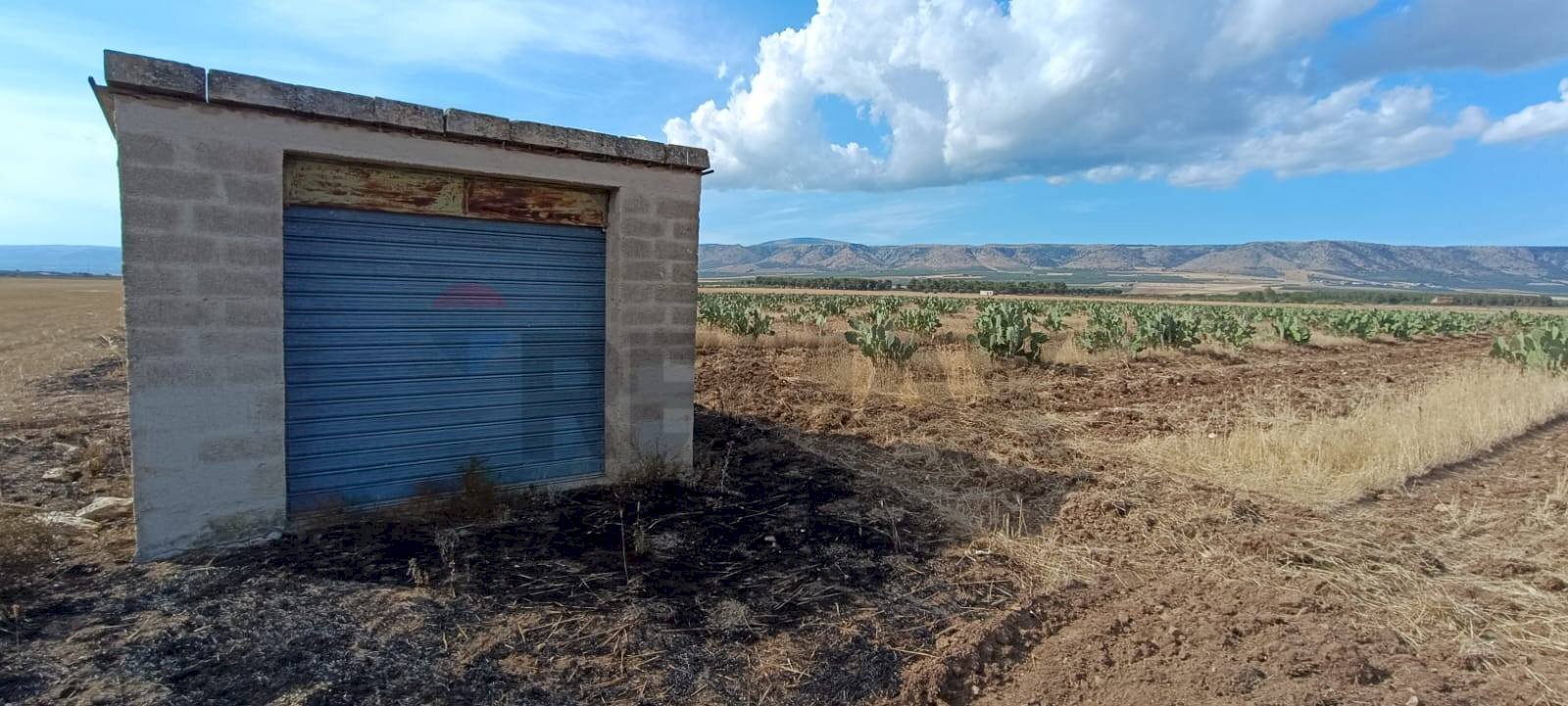 Casa all\'aperto - Terreno agricolo Contrada Signoritto
 
SNC, San Giovanni Rotondo - foto 2