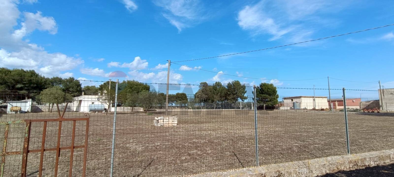 Non correlato - Terreno agricolo Contrada Signoritto
 
SNC, San Giovanni Rotondo - foto 3