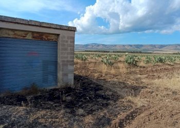 Casa all\'aperto - Terreno agricolo Contrada Signoritto
 
SNC, San Giovanni Rotondo - foto 2