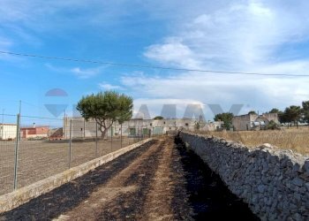 Non correlato - Terreno agricolo Contrada Signoritto
 
SNC, San Giovanni Rotondo - foto 5