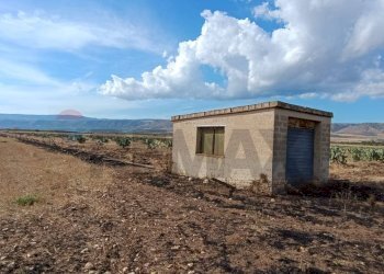 Casa all\'aperto - Terreno agricolo Contrada Signoritto
 
SNC, San Giovanni Rotondo - foto 6