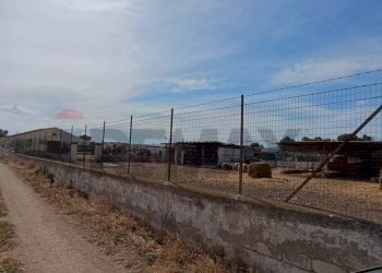 Edificio all\'aperto - Terreno agricolo Contrada Signoritto
 
SNC, San Giovanni Rotondo - foto 7